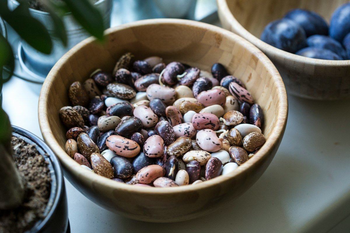 Aliments riches en fibres naturels